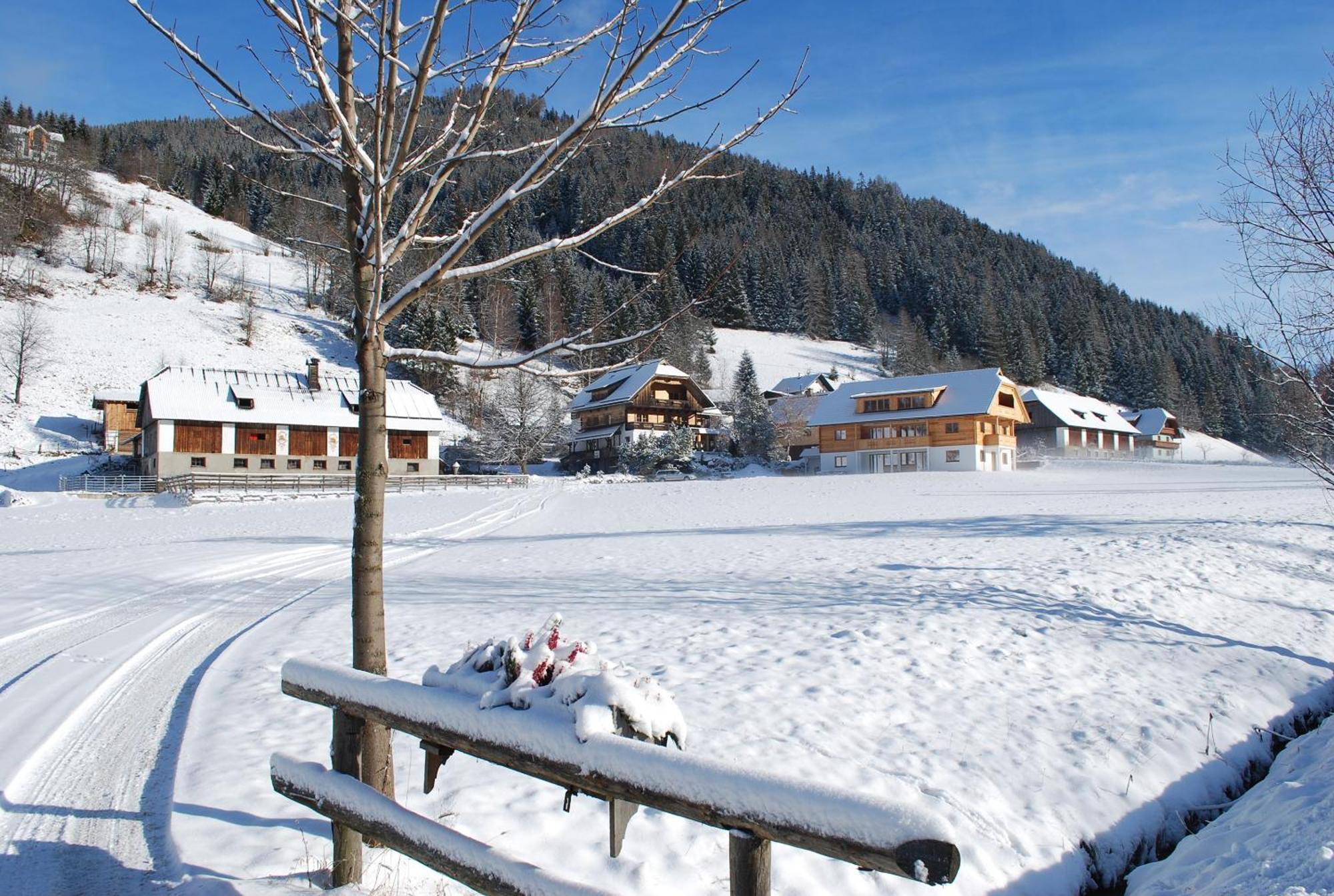 Appartement Biohof Seidl à Bad Kleinkirchheim Extérieur photo