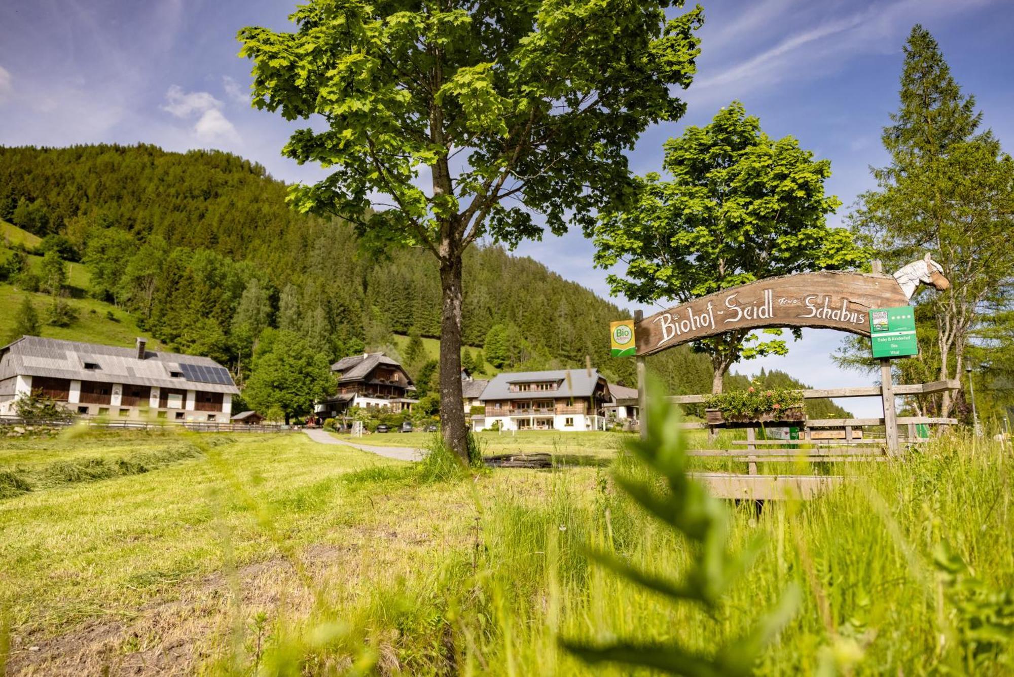 Appartement Biohof Seidl à Bad Kleinkirchheim Extérieur photo
