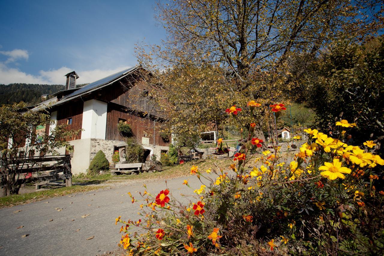 Appartement Biohof Seidl à Bad Kleinkirchheim Extérieur photo