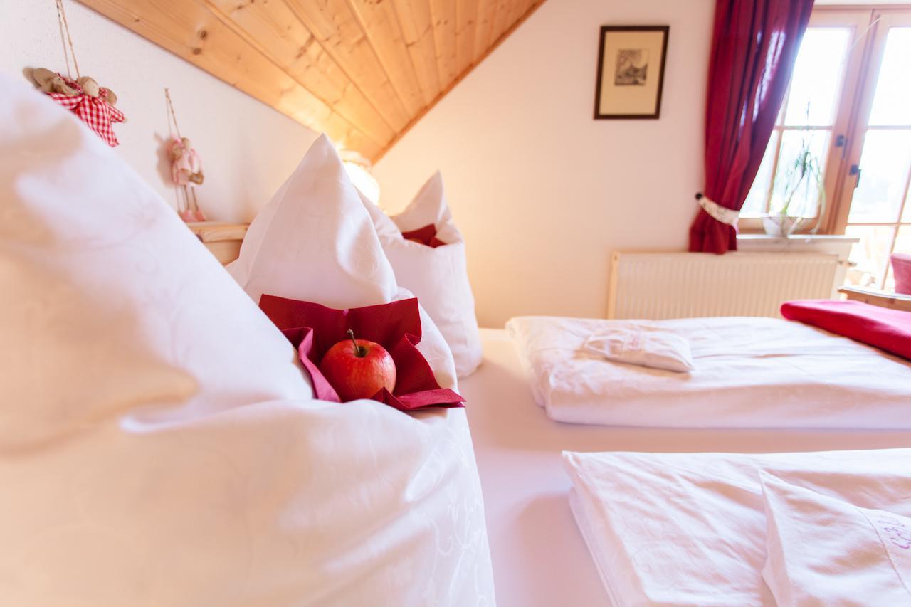 Appartement Biohof Seidl à Bad Kleinkirchheim Extérieur photo