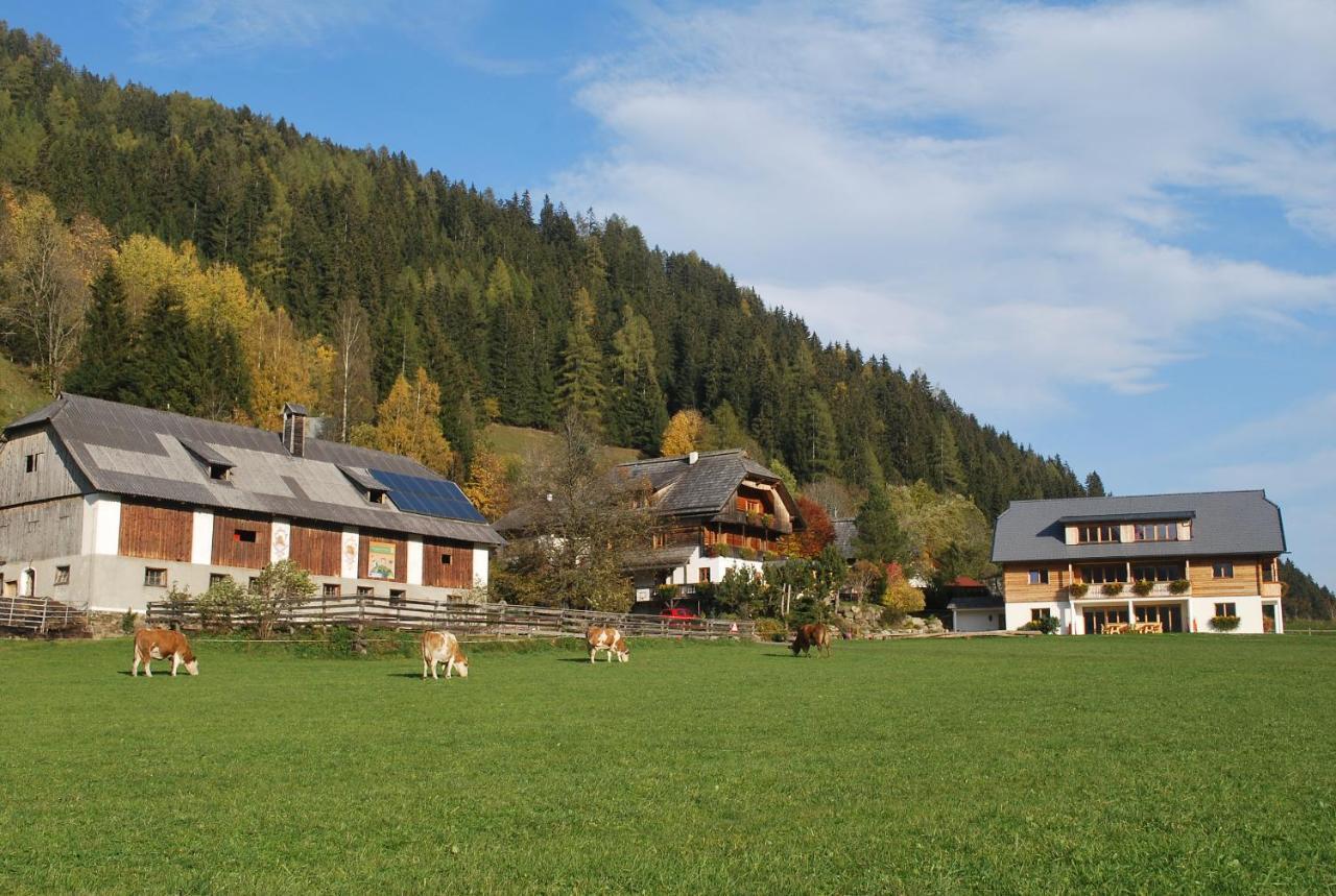 Appartement Biohof Seidl à Bad Kleinkirchheim Extérieur photo