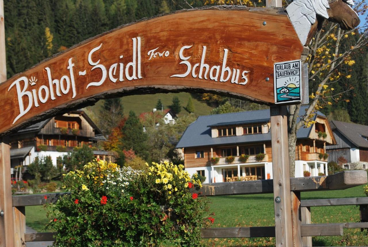 Appartement Biohof Seidl à Bad Kleinkirchheim Extérieur photo